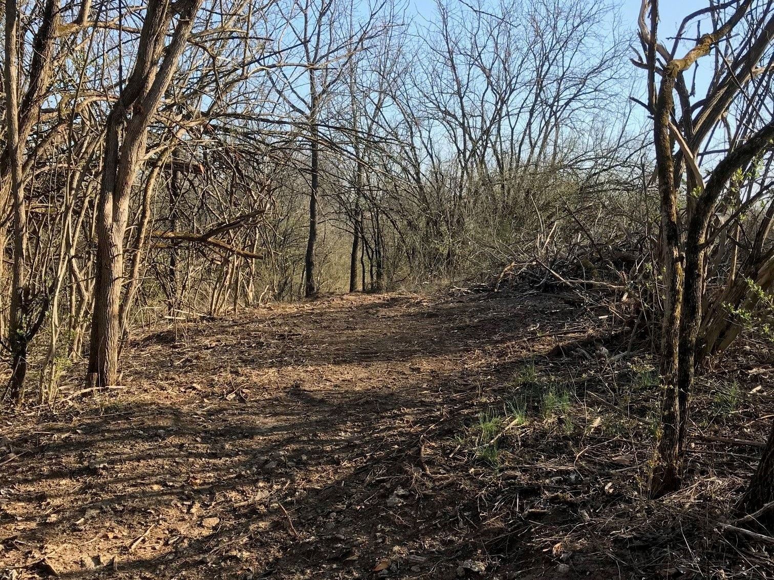 Mountain Bike Trail at Woven Wire 