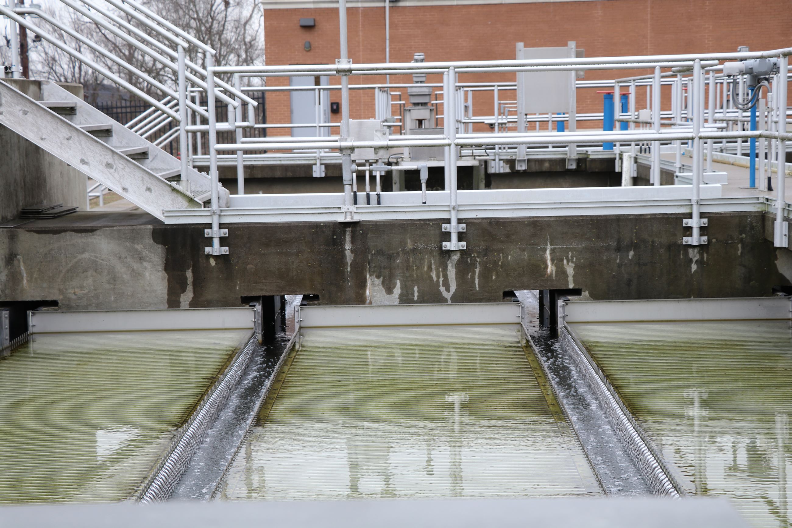Water plant (16)